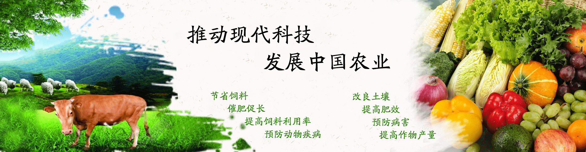 幻燈二